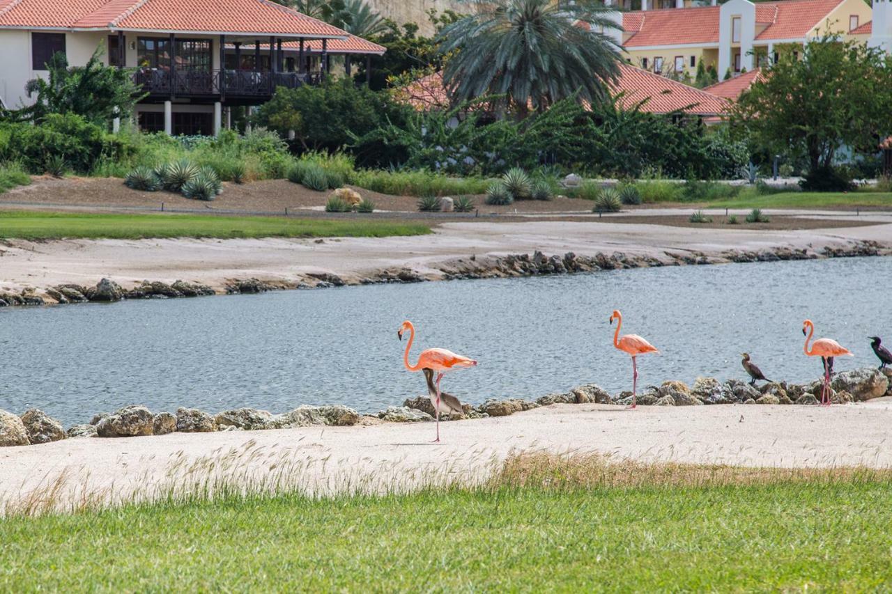 Blue Bay Beach Apartments Buitenkant foto